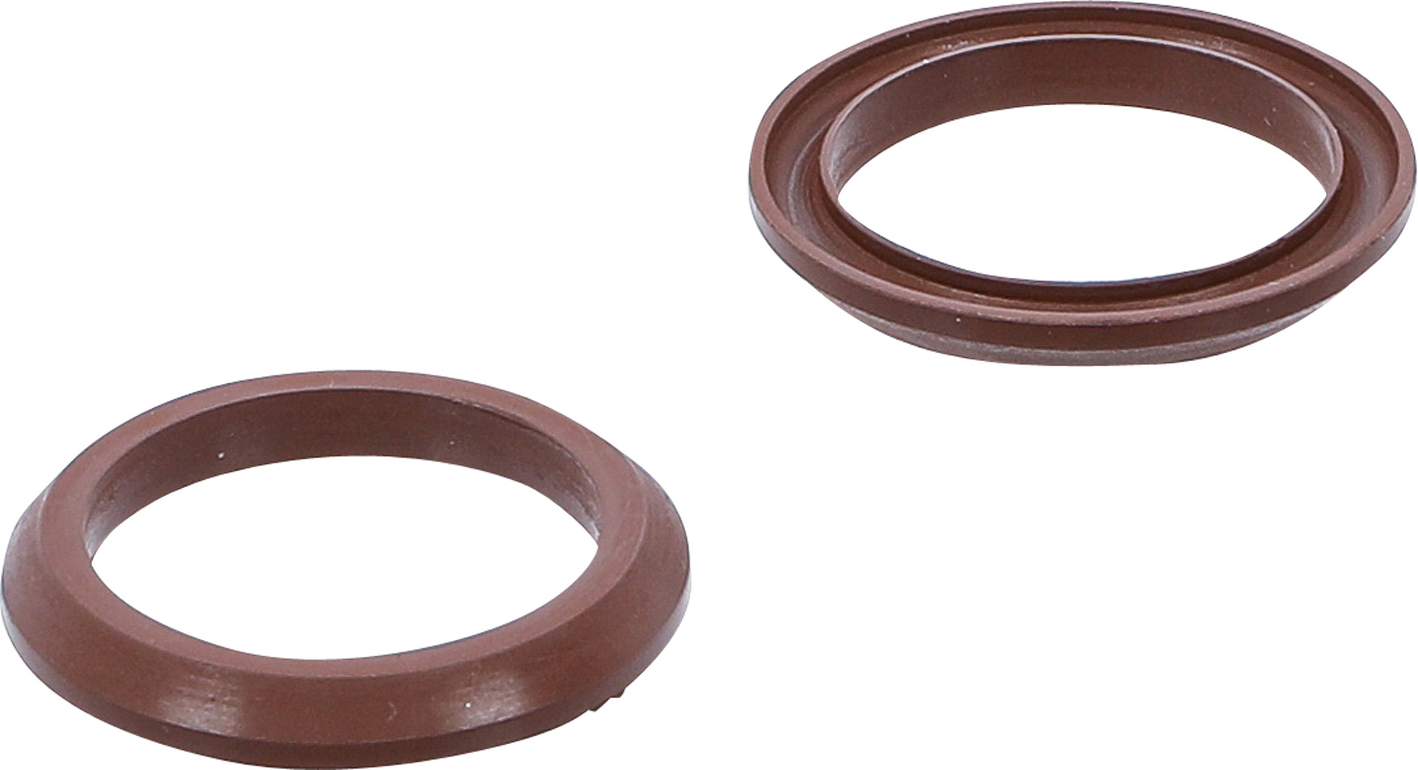 Fluorelastomer-Tätning för BGS 4067