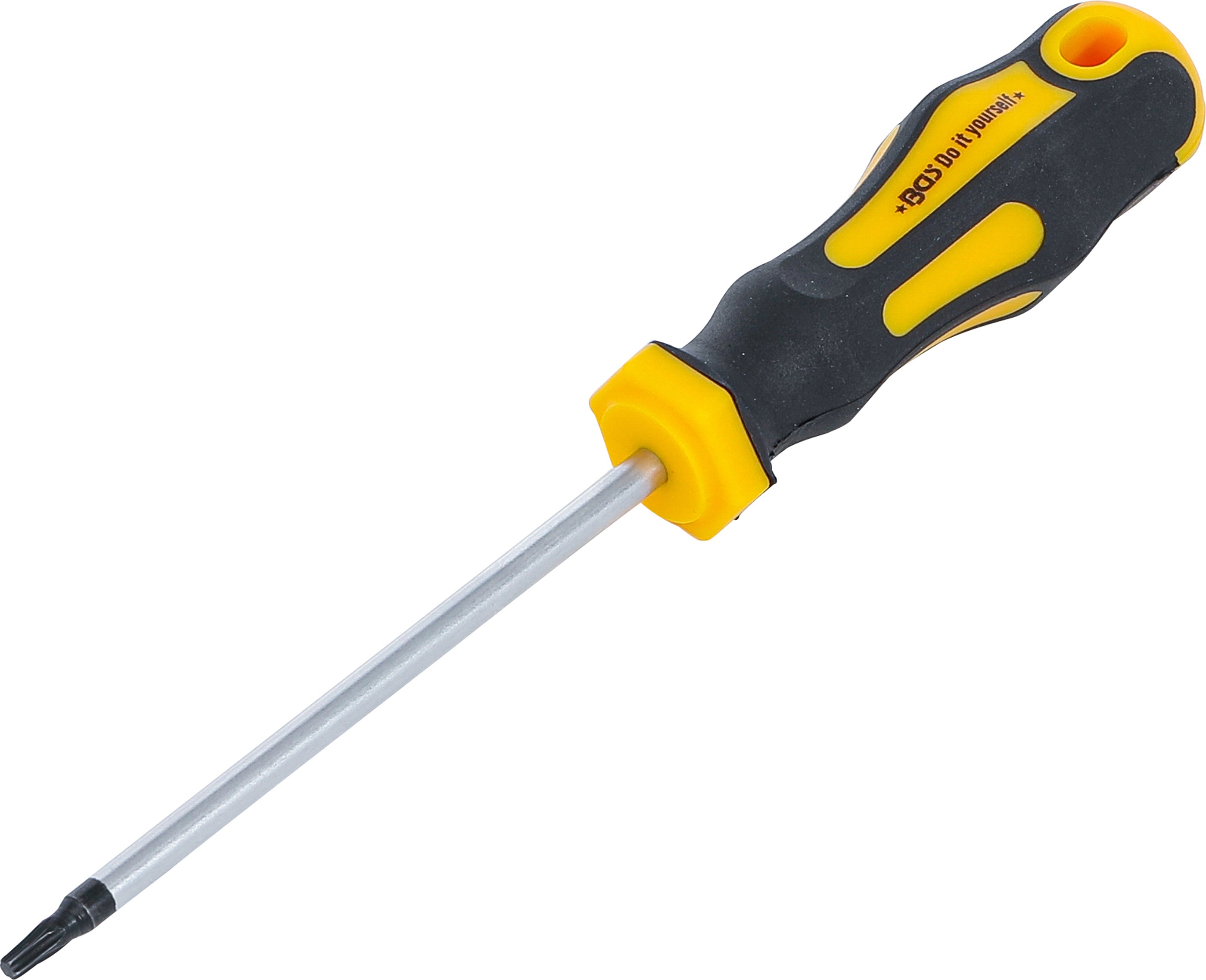Skruvmejsel | T-Profil (för Torx) T15 | Klinglängd 100 mm